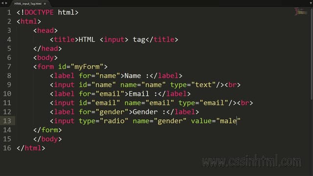 Everything you need to know about HTML Input Types